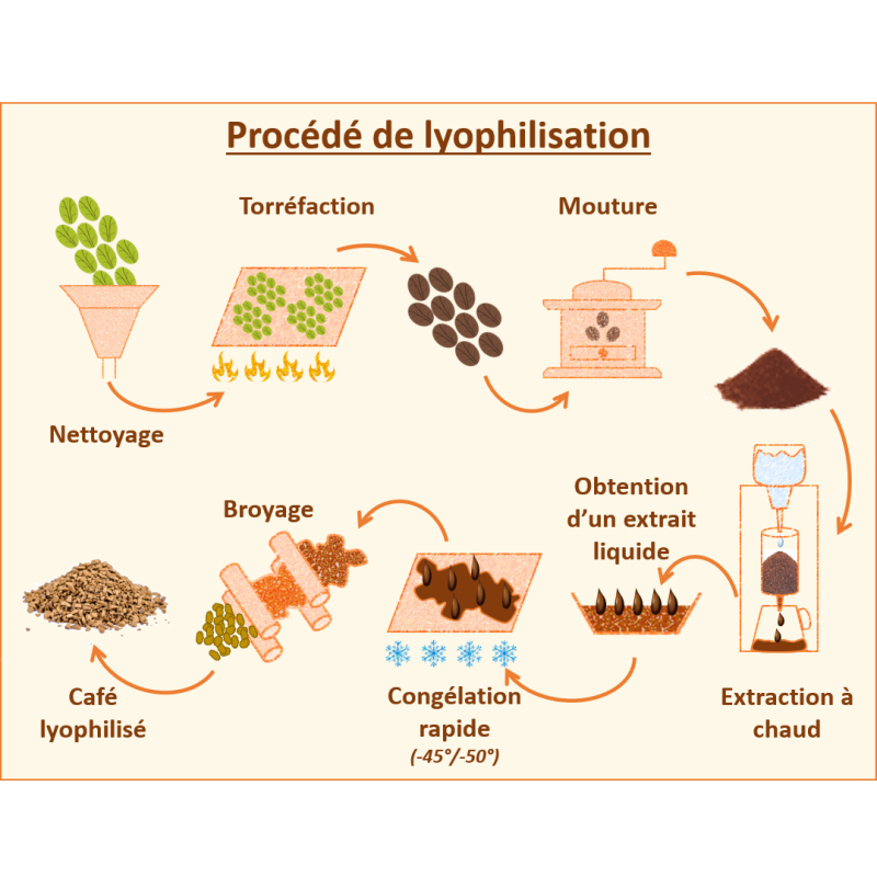 Café Hacienda BioEtica - Bio & Équitable