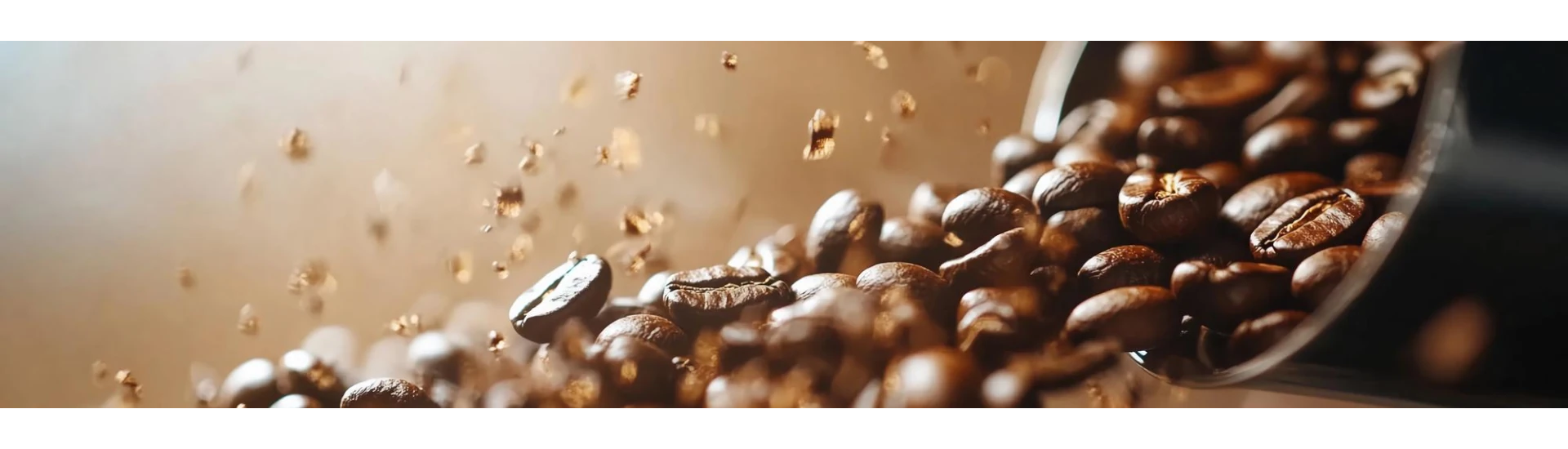 Nos cafés