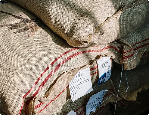 Producteurs de cafés